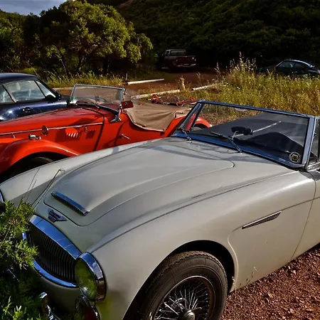 Casa Simonetta Βίλα *