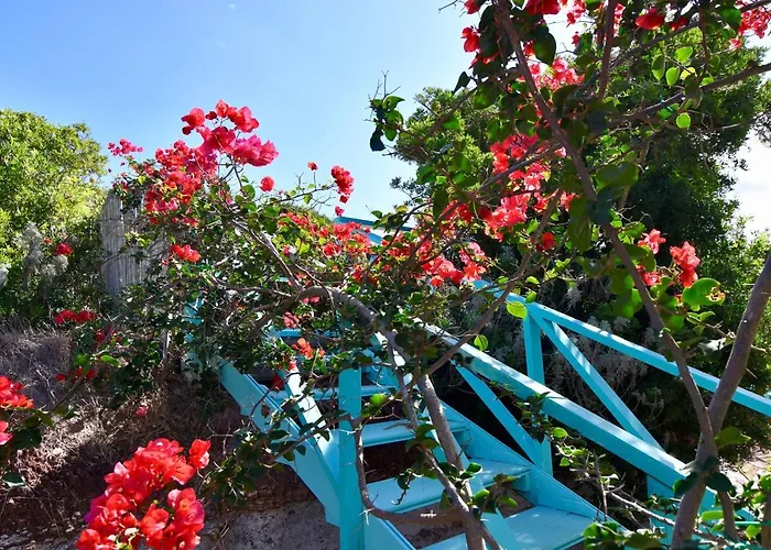 Villa Casa Simonetta Carloforte (Isola di San Pietro)